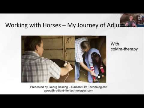 coMra Therapy and working with Horses